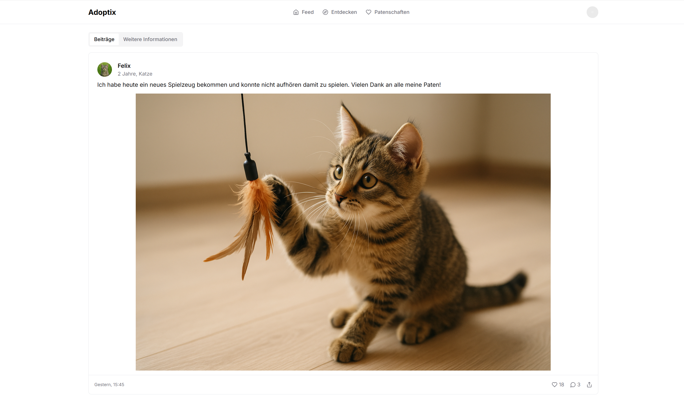 Adoptix Spender-App - Felix bedankt sich bei seinen Paten für das neue Spielzeug, direkter Impact der Spenden sichtbar
